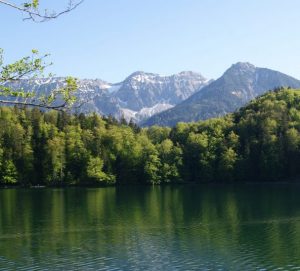 Wanderführung zum Alatsee. Im Hintergrund die Schlicke