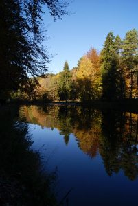 Herbst am Mittersee. Die Bäume spiegeln sich im Wasser