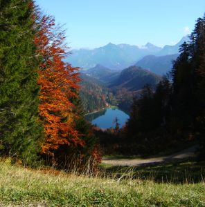 Wanderführung zur Saloberalm. Blick auf den Alatsee